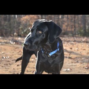 Meet your Posher, Karlee